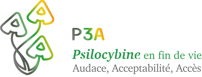 Logo P3A